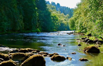 Tualatin River in the summer with rocks in the foreground