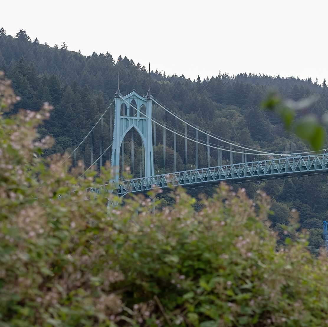 St. Johns Bridge with Forest Park in the background