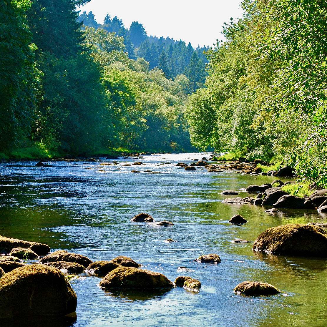 Tualatin River in the summer with rocks in the foreground