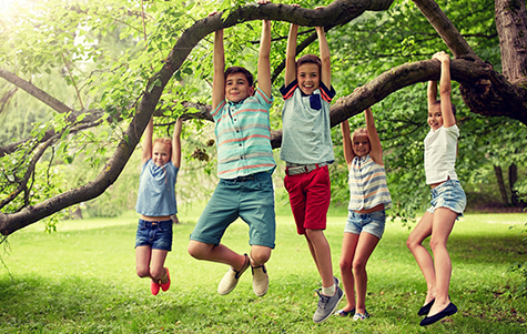 happy kids hanging on tree in summer park