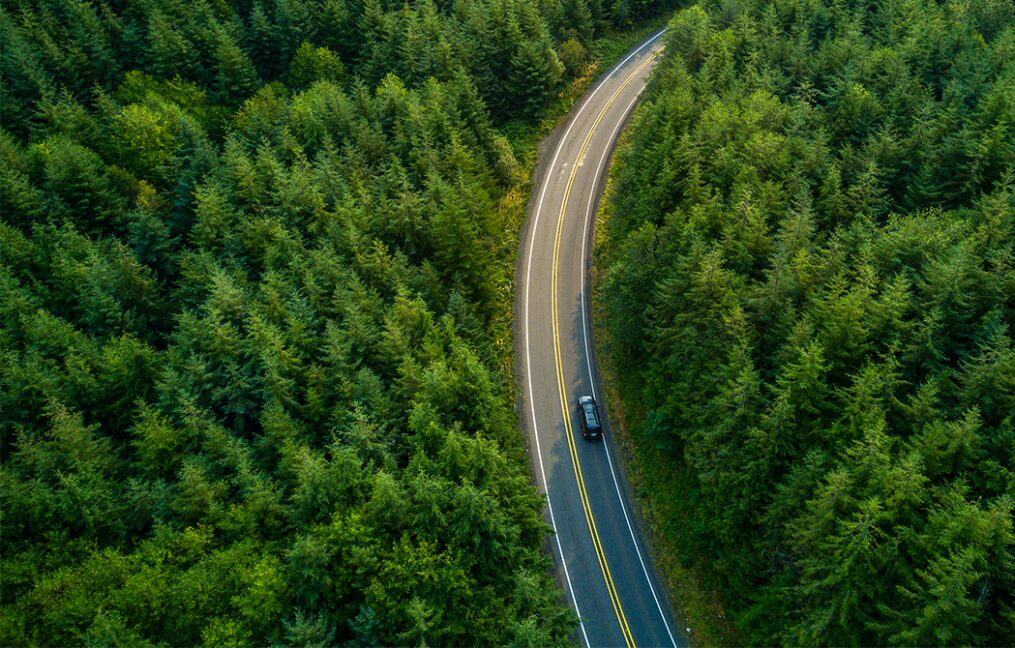 Auto financing onpoint community credit union car driving on windy road through NW Forrest