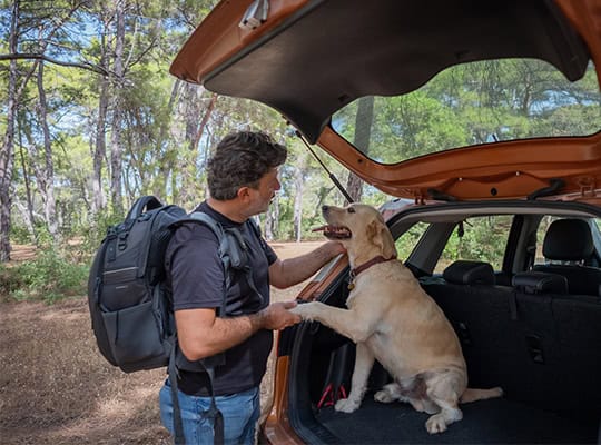auto financing onpoint community credit union guy with dog shaking hands paws in back of car on hike NW