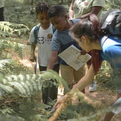 Boys-Learning-Outside