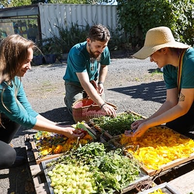 onpoint-crew-helping-at-wapato-island-farms