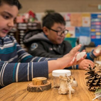 kids-closely-looking-at-nature-items