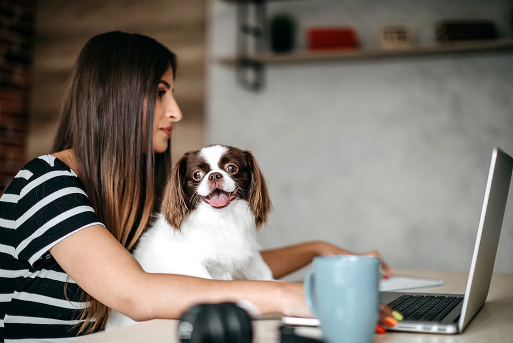 How to Avoid Job Hunt and Apartment Rental Scams_Woman doing research while holding her dog in her lap