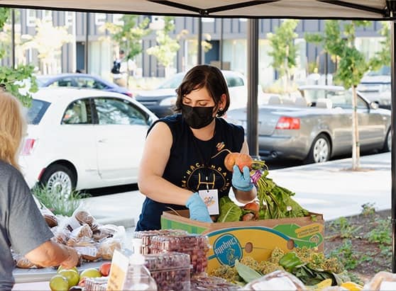 Woman picking fruit for Hacienda CDS