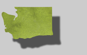 Washington state icon