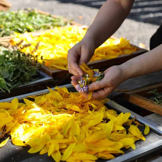 onpoint-crew-helping-at-wapato-island-farms