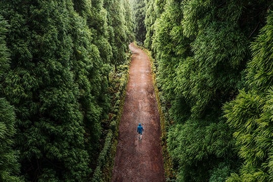 Person walking down a path in the woods