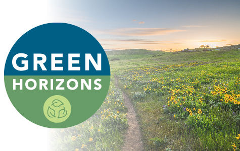Field of wild yellow flowers with OnPoint's Green Horzons logo