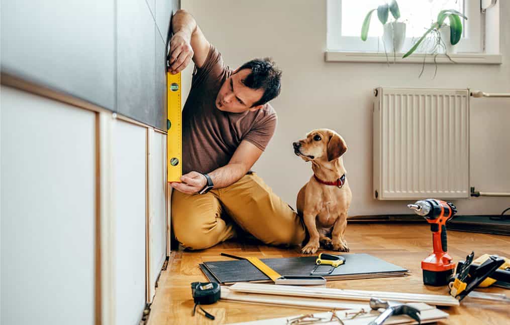 Onpoint community credit union home equity line of credit man and dog working on cabinent repair