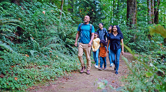 multi-ethnic family hiking a forested trail in the pacific northwest