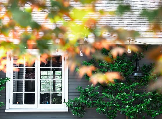 exterior-view-of-home-with-leaves