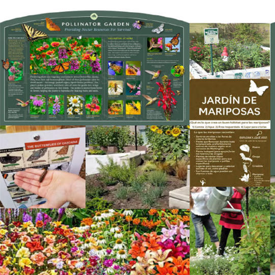 Butterfly habitat examples