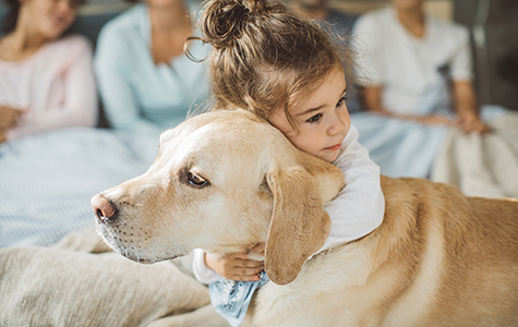 Young child hugging their dog friend on bed in the morning