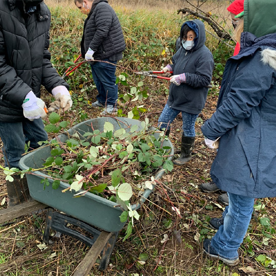 Image of Reynolds community gardening
