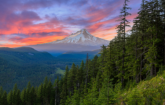 Majestic View of Mt. Hood on a bright, colorful sunset during the summer months.