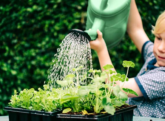 Boy watering plants