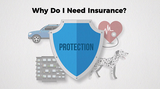 Why Do I Need Insurance? Illustration of protection shield over building, pet car, and health care icons.