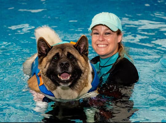 The k9 swim center onpoint business spotlight