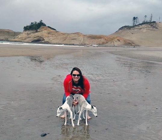 Whippets_at_the_beach_blog_size