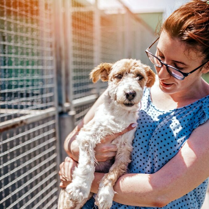 How to prepare your finances for a new pet-woman selecting pet at local shelter