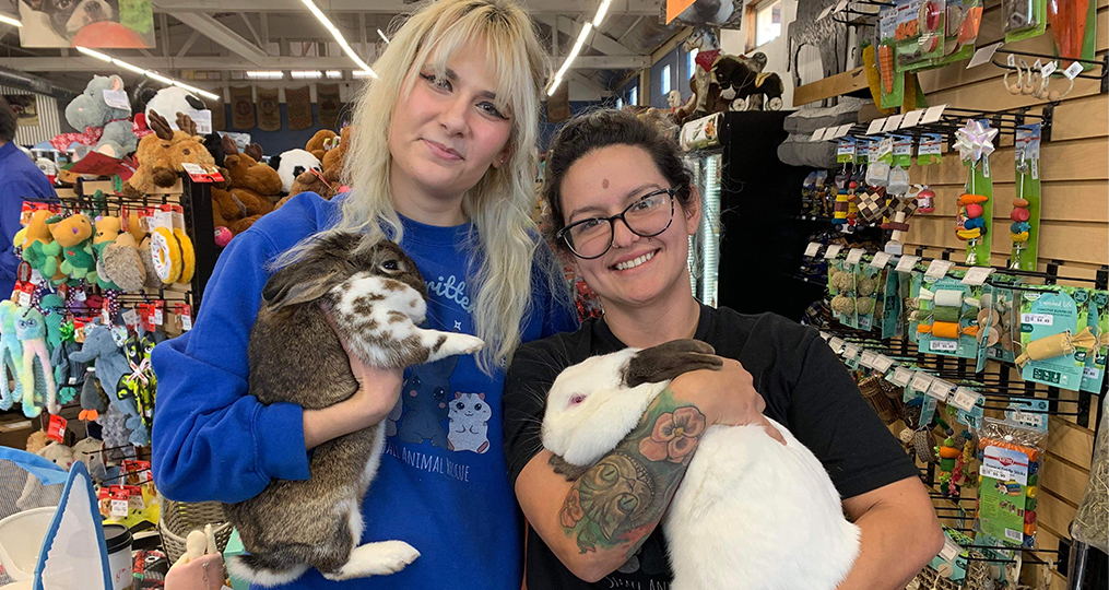 Little Critter Crew wins $5,000-volunteers with bunnies