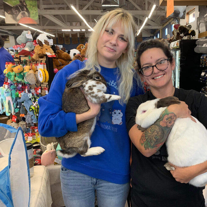 Little Critter Crew wins $5,000-volunteers with bunnies