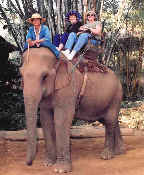 Marion riding an elephant in thailand