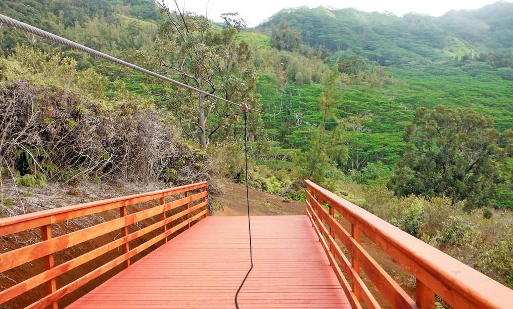 downhill view from the top of the Zipline