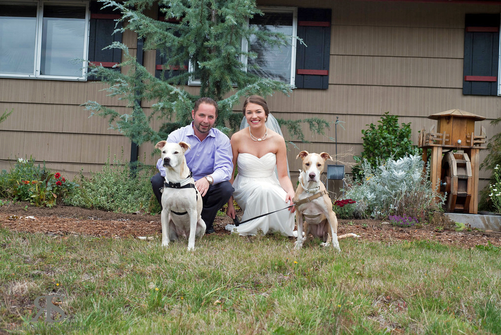 monica almroth wedding photo with her husband and two dogs