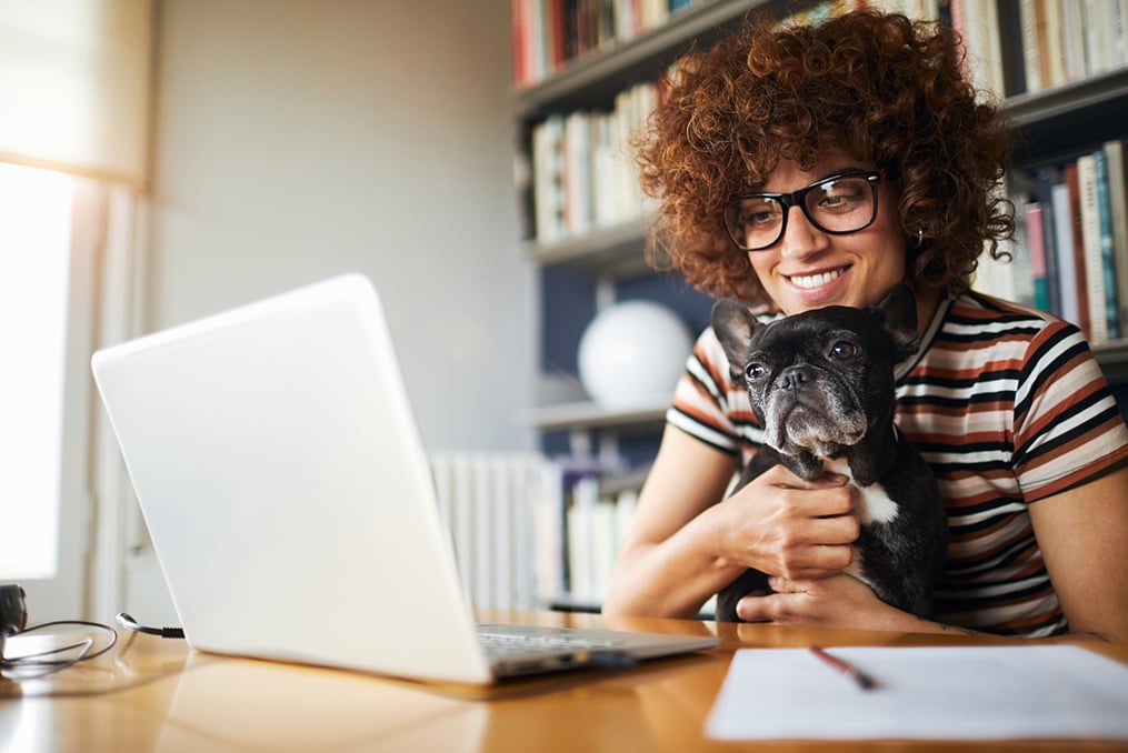 young woman sitting at her desk looking at her laptop and smiling with her small black dog in her lap