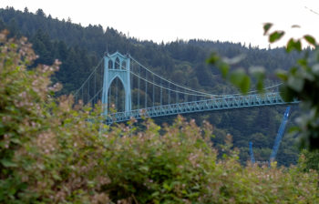 iron suspension bridge surrounded by autumn trees