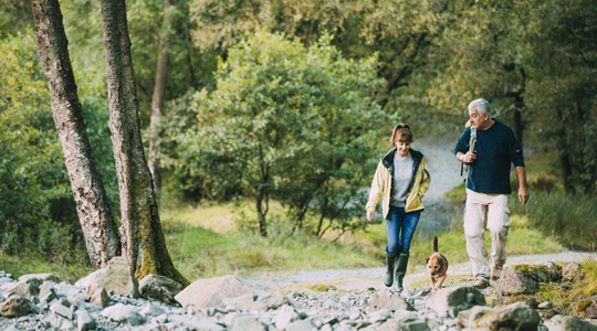 mature couple walking along a forest path with their dog